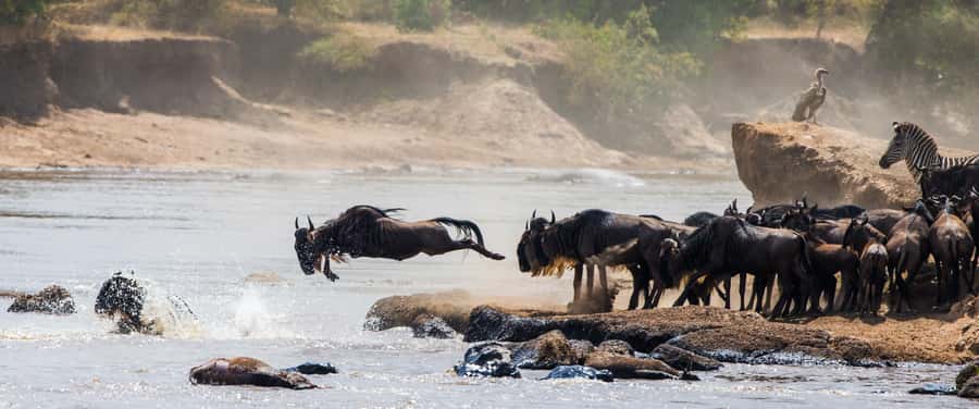 Nairobi: Day Trip to Maasai Mara Reserve & Maasai village - The optional Maasai village visit