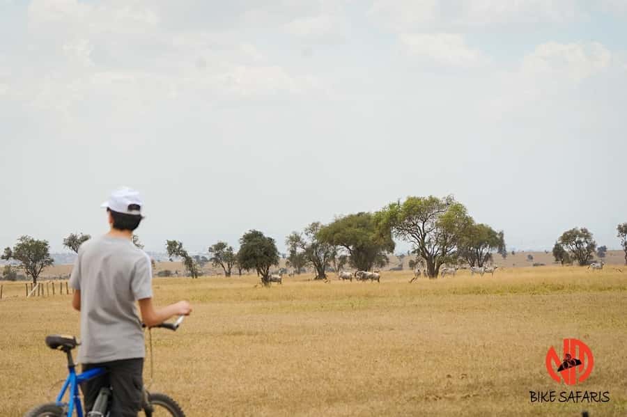 Nairobi: E-Bike/Cycling Wildlife Safari with Transfer & meal - Pickup from your Nairobi hotel or JKIA