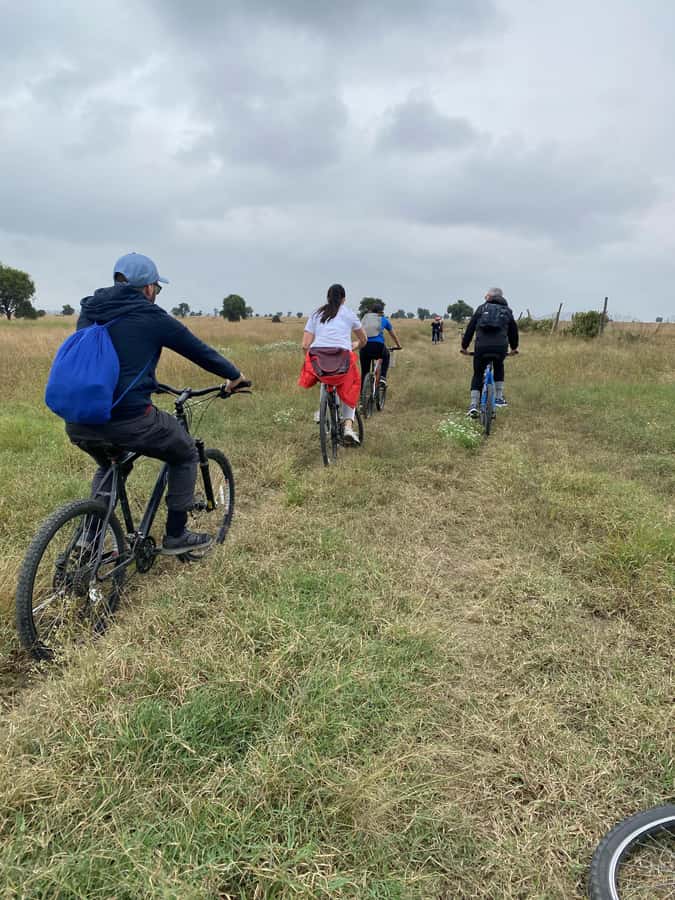 Nairobi: E-Bike/Cycling Wildlife Safari with Transfer & meal - Choosing between an e-bike and a standard bicycle