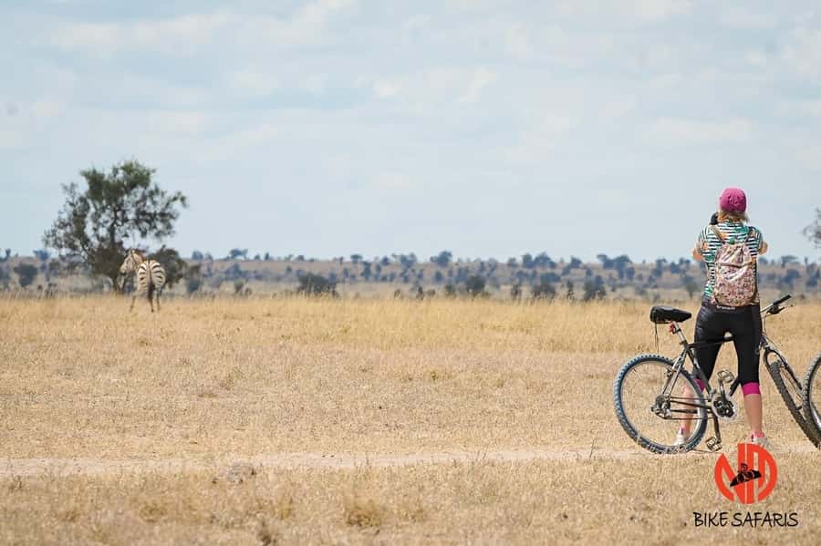 Nairobi: E-Bike/Cycling Wildlife Safari with Transfer & meal - What the $155 price covers