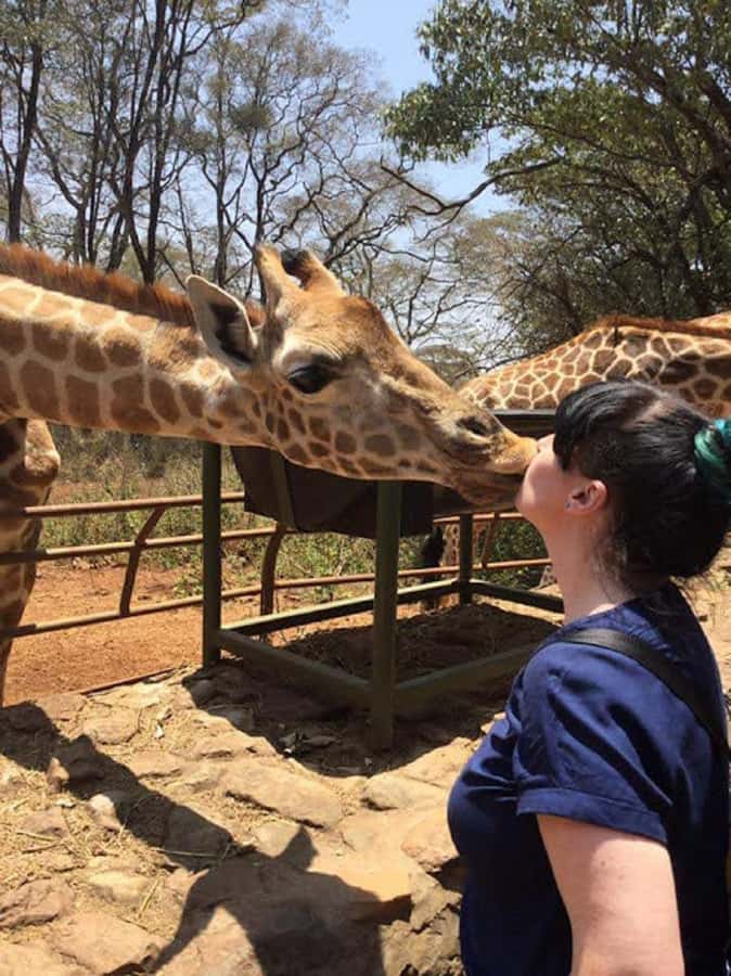 Nairobi: Elephant Orphanage, Beads Factory , giraffe center - Feeding giraffes at the Giraffe Centre