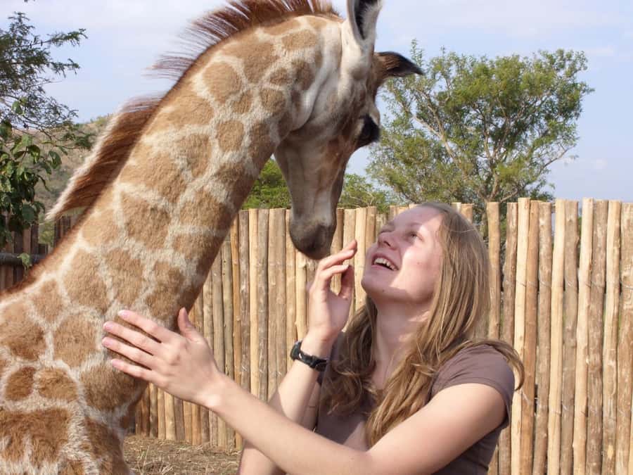 Nairobi: Elephant Orphanage Trust and Giraffe Center Tour - Why the elephant visit is the heart of the day