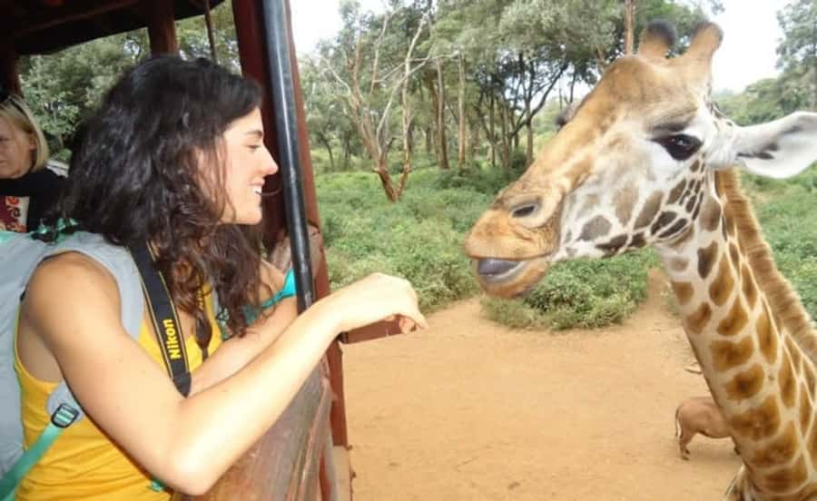 Nairobi: Elephant Orphanage Trust and Giraffe Center Tour - The day’s pace and practical limits