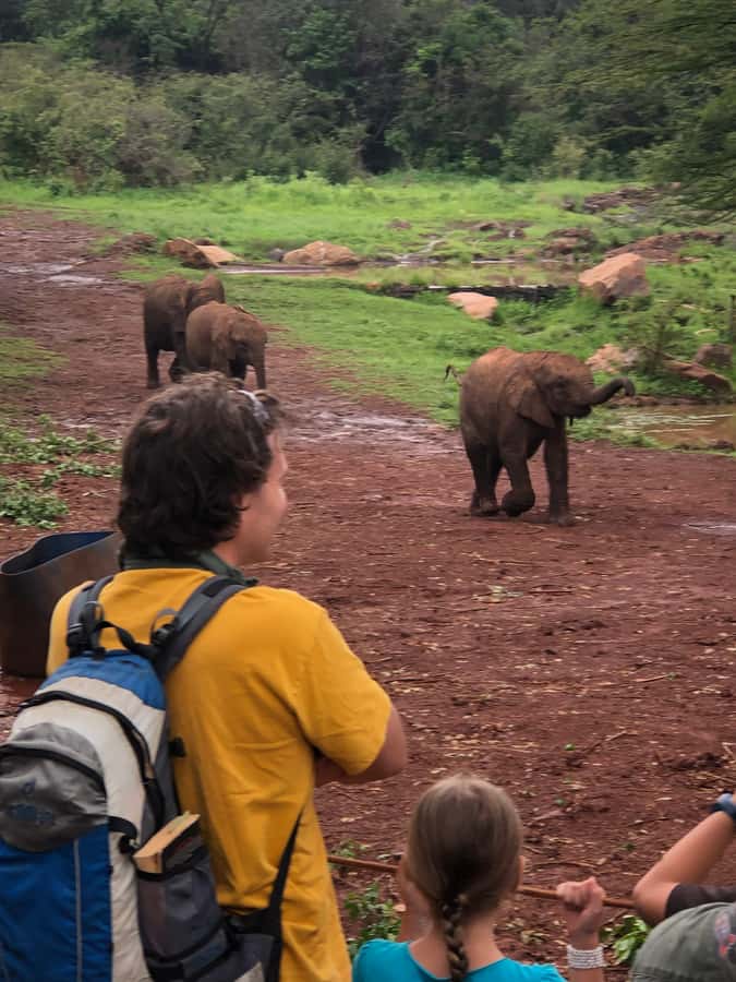 Nairobi: Elephant Sanctuary and Giraffe Center Day Tour - The 9:30 pickup and drive through Nairobi