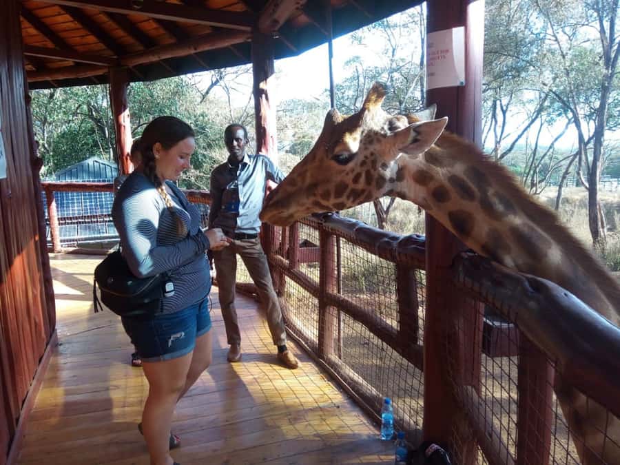 Nairobi: Elephants, Giraffes, Karen Blixen & Bomas Tour - Starting with rescued elephants at David Sheldrick