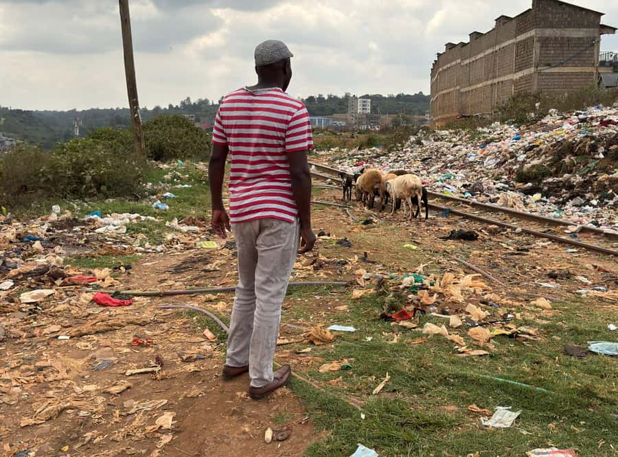 Nairobi: Explore Kibera Slum with Local Guides - Why a Kibera walk adds something different to Nairobi