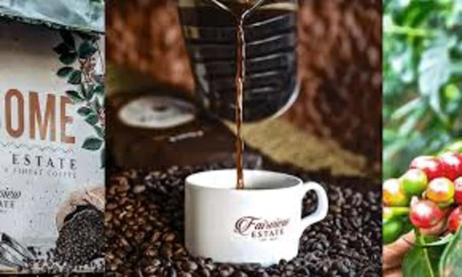 Nairobi: Fairview Coffee Estate Tour with Pickup - Key points to know before you book