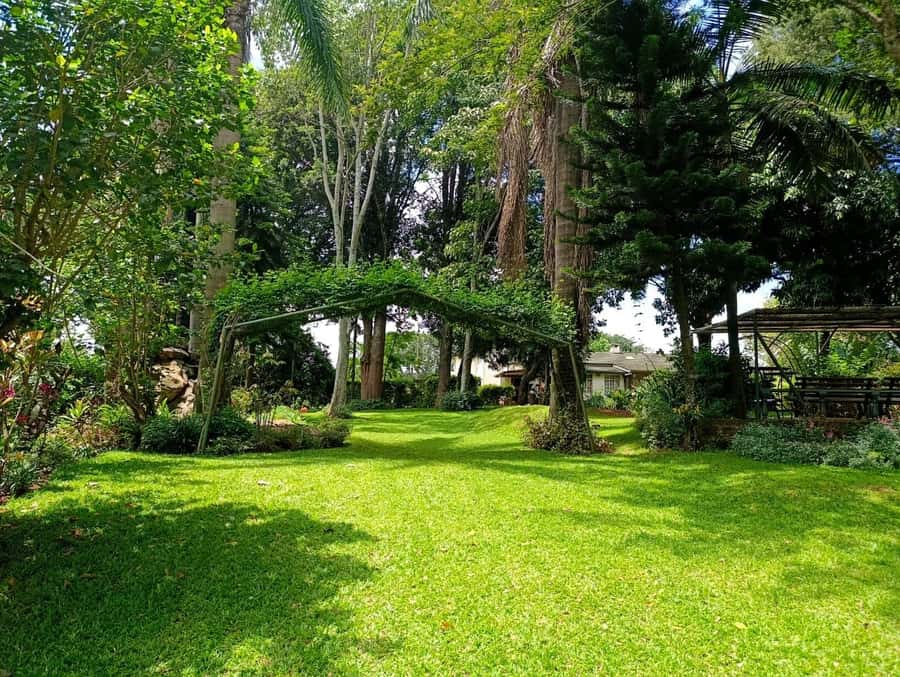 Nairobi: Fairview Coffee Estate Tour with Pickup - Roasting beans over a traditional jiko