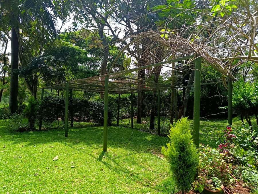 Nairobi: Fairview Coffee Estate Tour with Pickup - Who will get the most from Fairview