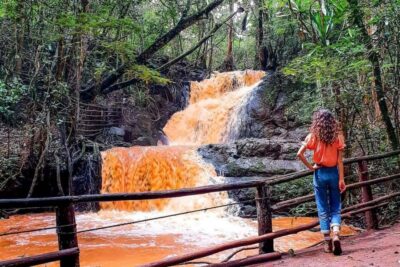 From Nairobi-Karura Forest Guided Walking Tour