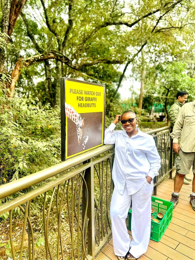 Nairobi: Game drive, elephant Orphanage & giraffe centre. - A Souvenir Stop Before Hotel Drop-Off