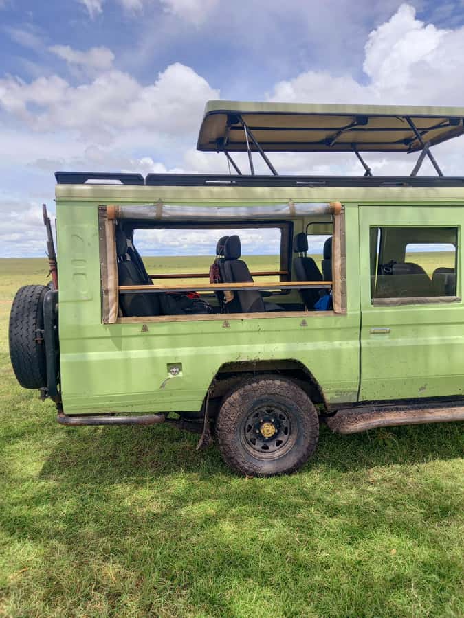 Nairobi: Game drive, elephant Orphanage & giraffe centre. - Who Will Get the Most from This Day