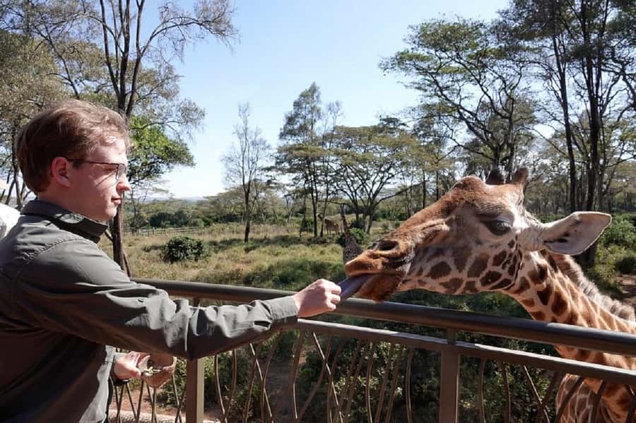 Nairobi:Giraffe Center, Baby Elephant and Beads factory Tour - A Nairobi morning with giraffes, elephants, and handmade beads