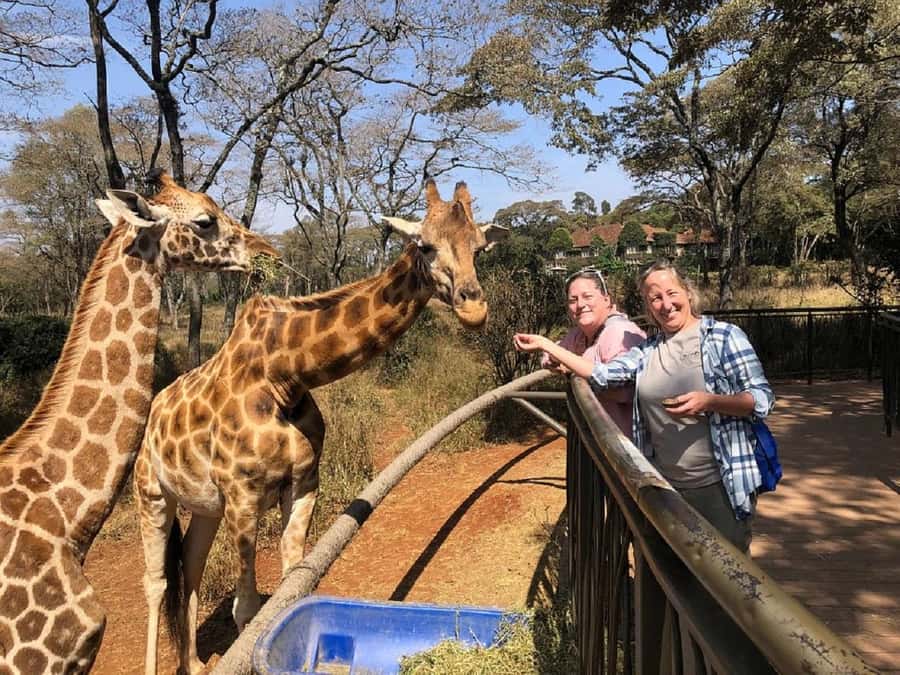 Nairobi:Giraffe Center, Baby Elephant and Beads factory Tour - FAQ