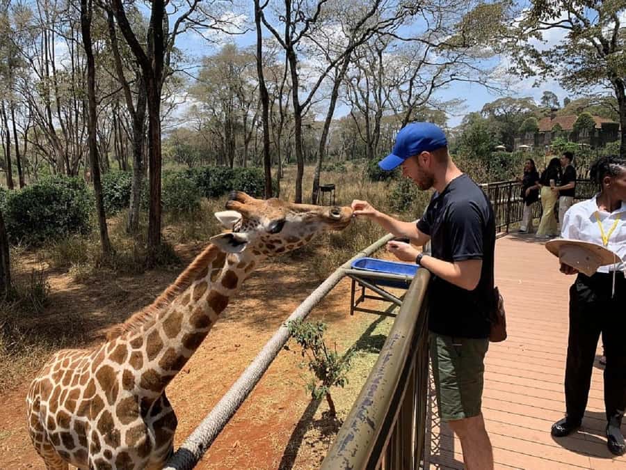 Nairobi:Giraffe Center, Baby Elephant and Beads factory Tour - Starting with hand-fed giraffes in Karen
