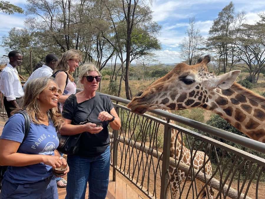 Nairobi:Giraffe Center, Baby Elephant and Beads factory Tour - How the 5-hour schedule works in practice