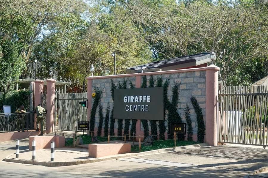 Nairobi:Giraffe Center, Baby Elephant and Beads factory Tour - What makes this tour worth choosing