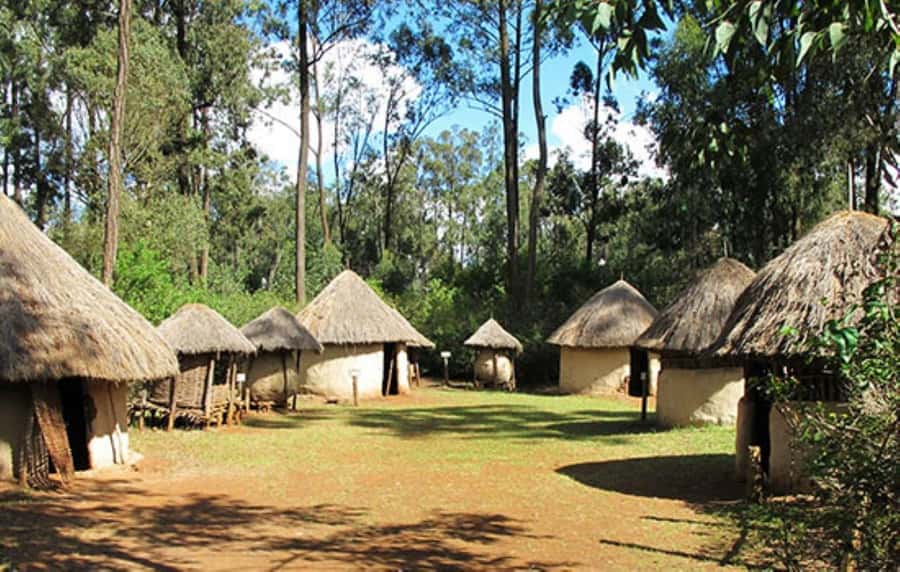 Nairobi: Giraffe Center, Beads Factory & Bomas of Kenya Tour - What the $20 price really means