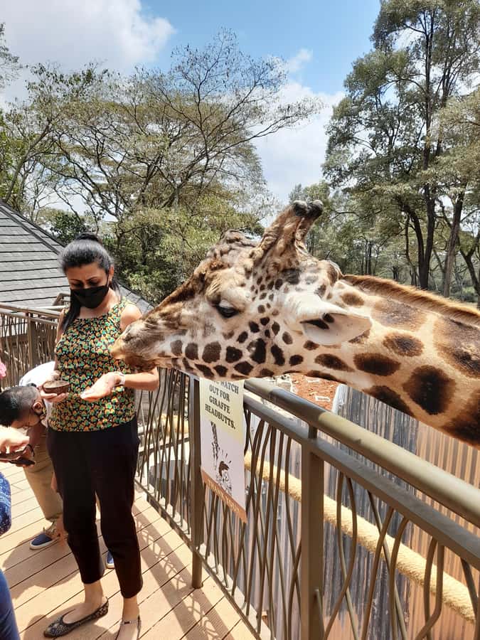 Nairobi: Giraffe Center, Beads Factory & Bomas of Kenya Tour - Who should book this outing