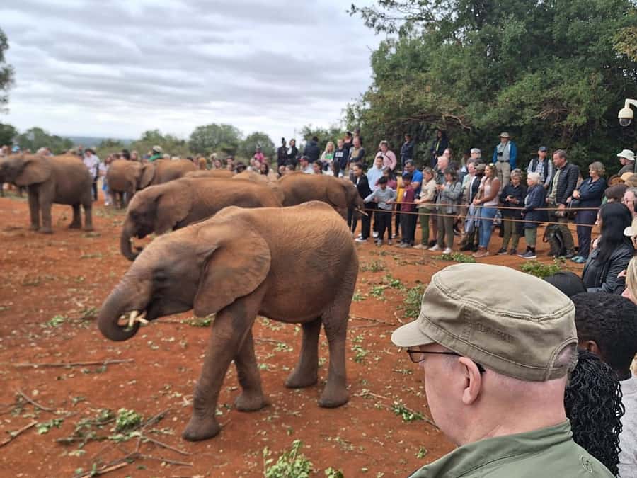 Nairobi: Giraffe Center, Elephant Orphanage, and Beads Tour - Key points to know before booking