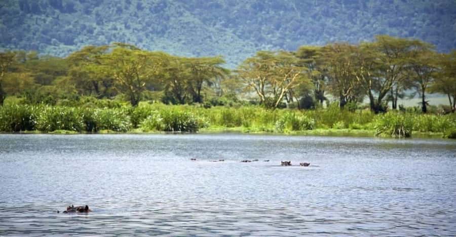 Nairobi:Group Hell's Gate National Park & Lake Naivasha Tour - Key points to know before booking