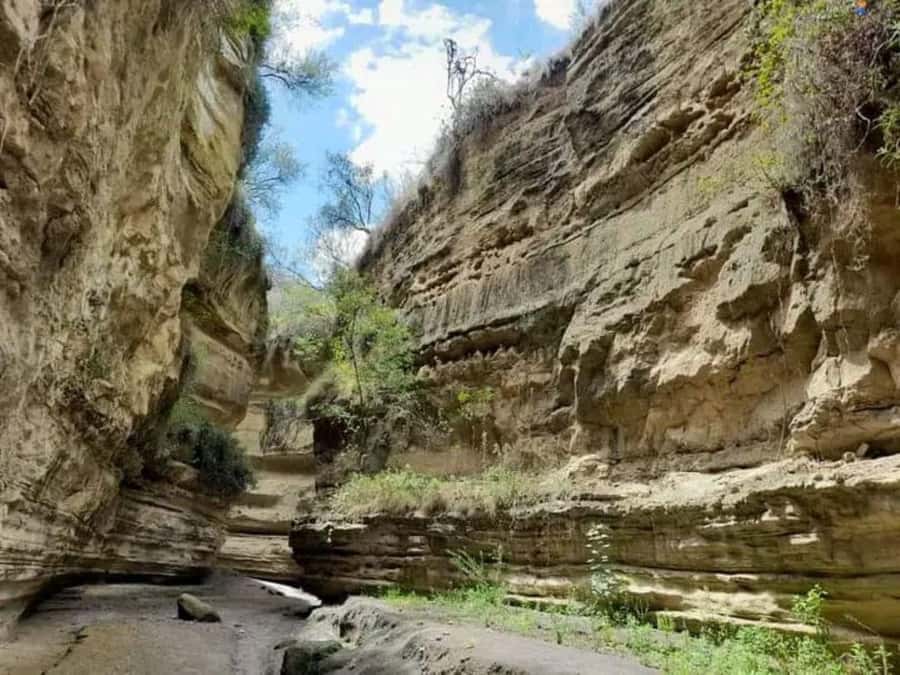 Nairobi: Hell's Gate National Park and Lake Naivasha Tour - Leaving Nairobi for the Great Rift Valley