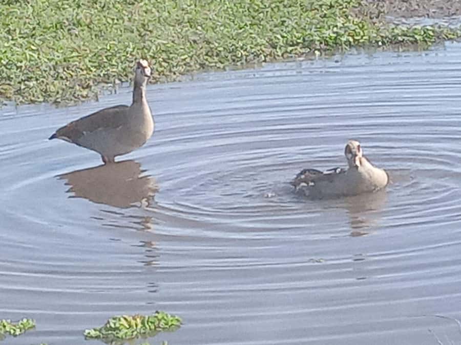 Nairobi: Hell's Gate National Park and Lake Naivasha Tour - How demanding is this Nairobi day trip?