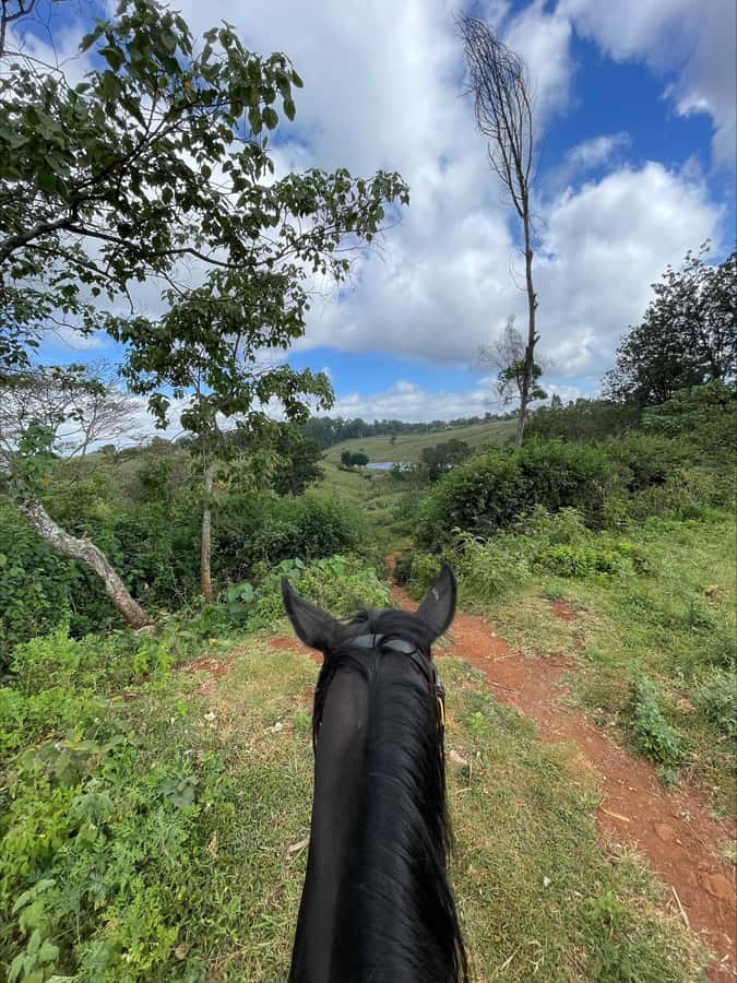 Nairobi: Horseback Riding Tour Through Maize Plantation - Key points to know before you ride