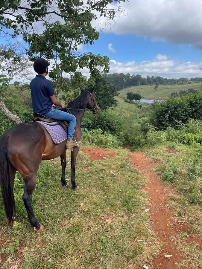 Nairobi: Horseback Riding Tour Through Maize Plantation - Riding beyond Nairobi’s city streets