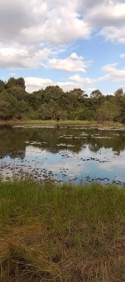 Nairobi: Karura Forest Guided Walking Tour - What the guide’s flexibility adds