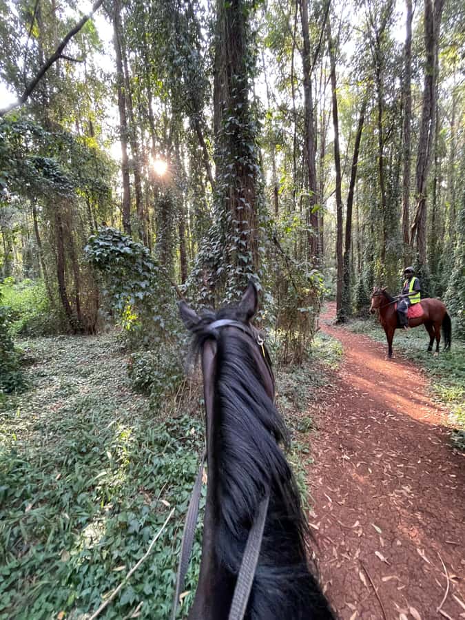 Nairobi: Karura Forest Horseback Riding Tour - Why horseback is a fine way to see Karura Forest