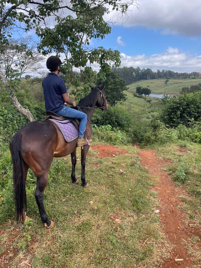 Nairobi: Karura Forest Horseback Riding Tour - Starting at Sigiria Gate, not another entrance