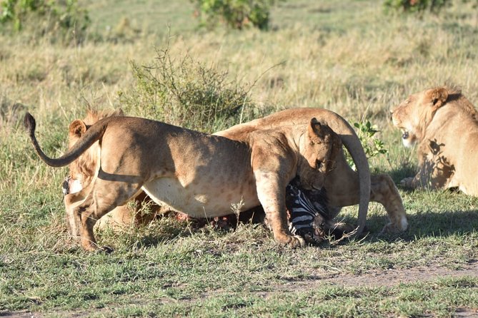 Nairobi layover - How the guide can shape the outing