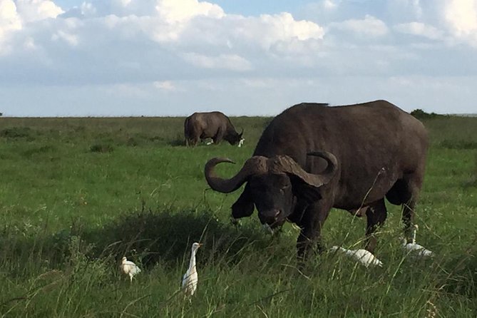 Nairobi layover - Is $180.62 per person good value?