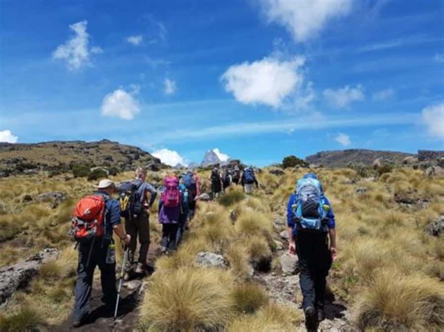 Nairobi: Mount Kenya Day Hike with Lunch - Three hours through four vegetation zones