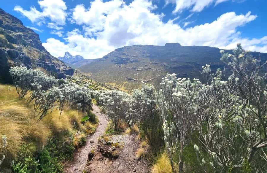 Nairobi: Mount Kenya Day Hike with Lunch - Old Moses Camp and the altitude question