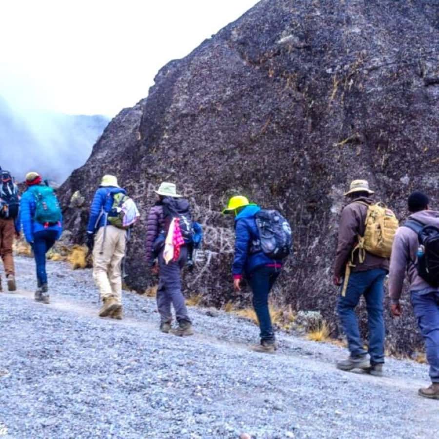 Nairobi: Mount Kenya Day Hike with Lunch - The guides and the level of support