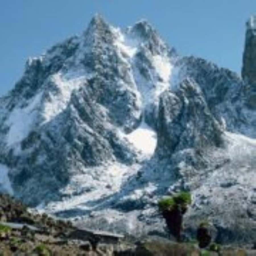 Nairobi: Mount Kenya Day Hike with Lunch - How hard is this one-day hike?