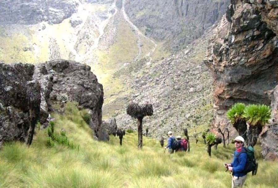 Nairobi: Mount Kenya Day Hike with Lunch - What to pack for Mount Kenya