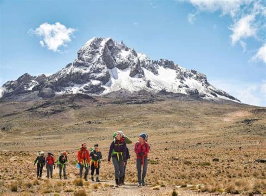 Nairobi: Mount Kenya Day Hike with Lunch - Entering Mount Kenya through Naro Moru