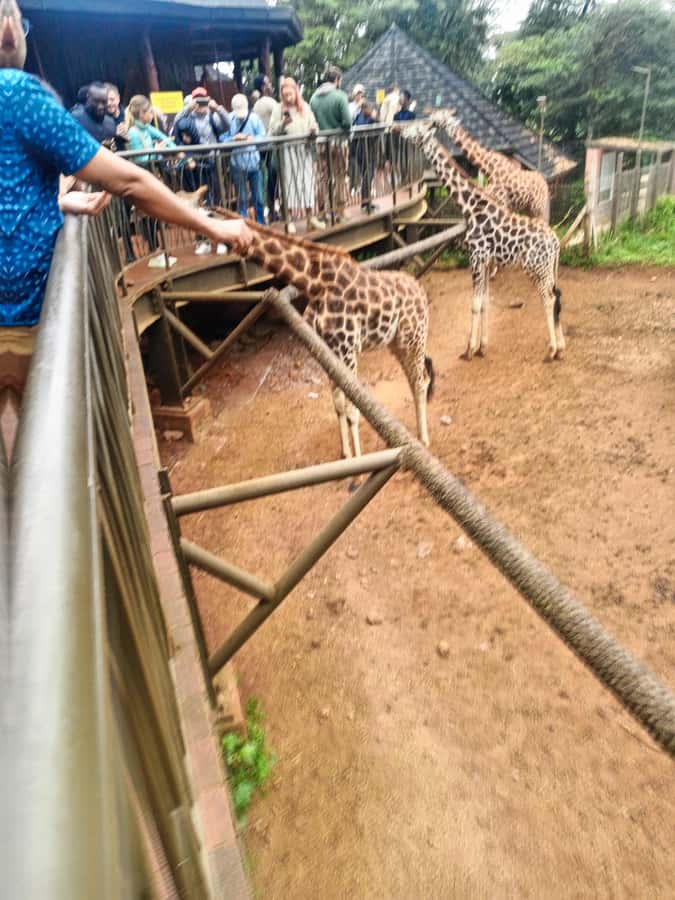 Nairobi: Museum, KICC, Giraffe Centre & Bomas of Kenya Tour - Bomas of Kenya and living cultural traditions