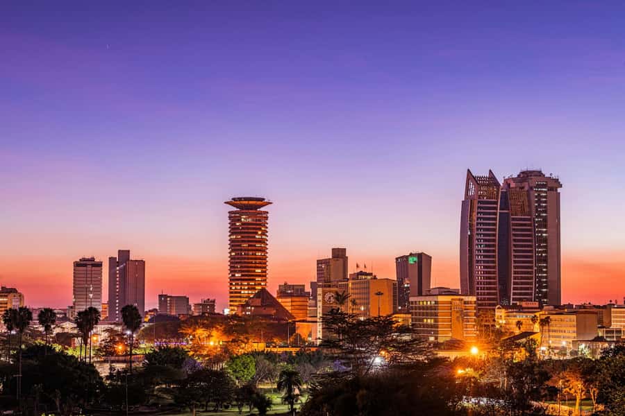 Nairobi: Museum, KICC, Giraffe Centre & Bomas of Kenya Tour - The guide can shape the whole day