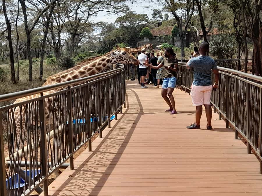 Nairobi:Nairobi national park,David sheldrick,GiraffeCenter - The real price of this half-day outing