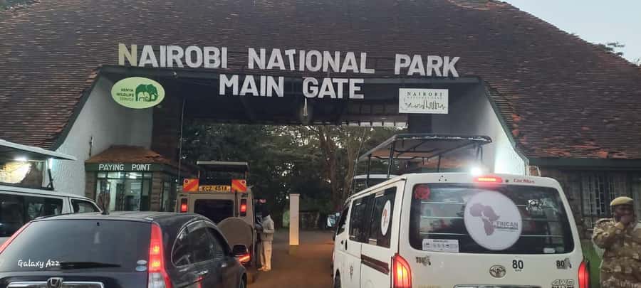 Nairobi:Nairobi national park,David sheldrick,GiraffeCenter - Who will get the most from this experience