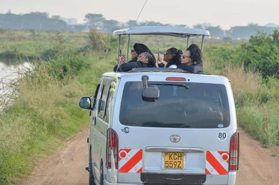 Nairobi: Nairobi National Park Half-Day Game Drive - A safari within Nairobi’s city limits