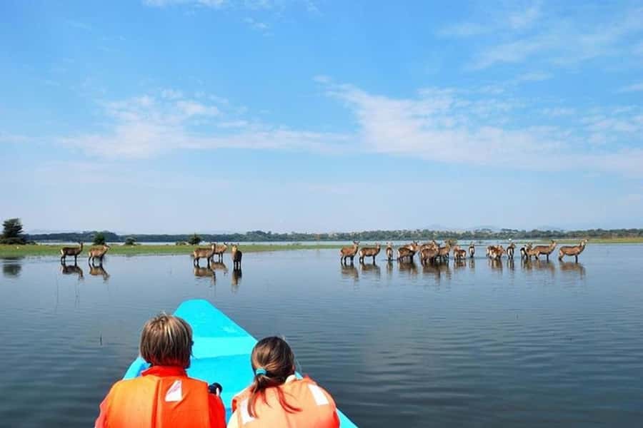 Nairobi: Nakuru National Park and Lake Naivasha Day Tour - From Nakuru to Lake Naivasha