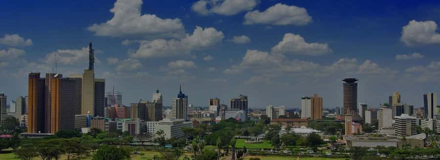 Nairobi National Museum & City Tour. - Nairobi National Museum sets the context