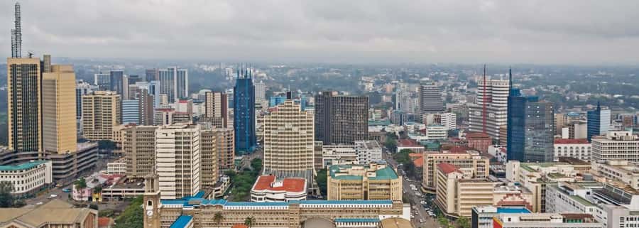 Nairobi National Museum & City Tour. - City Market and Jeevanjee Gardens show everyday Nairobi