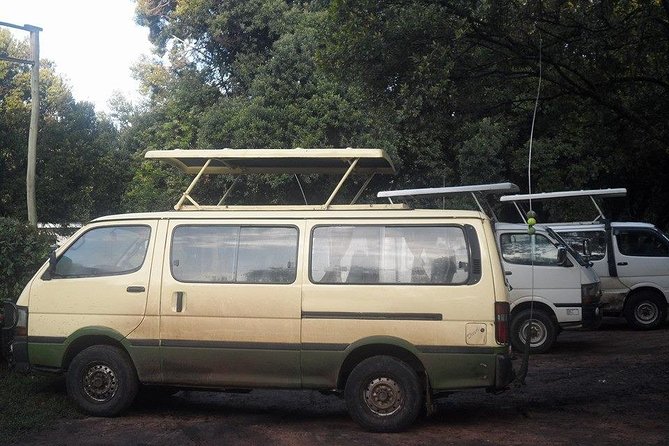 Nairobi National Park 1.p.m Game Drive - The 1 p.m. Pickup Keeps Your Morning Free