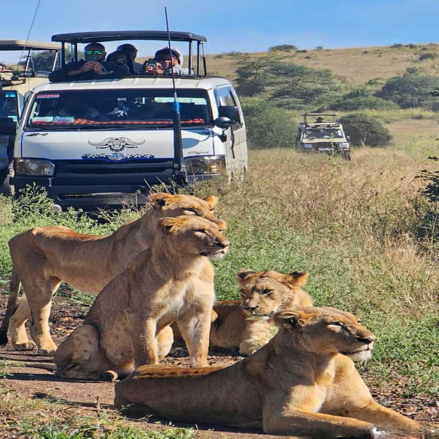 Nairobi National Park 5-hour Guided Game Drive Free Pick up - Why Nairobi National Park works so well for a short safari